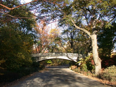 DSCN8922.jpg